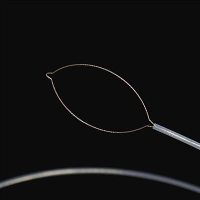 Jawske Forcepki ciała zorty zorty