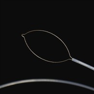 Postawić siyły ciała zorty zorty.